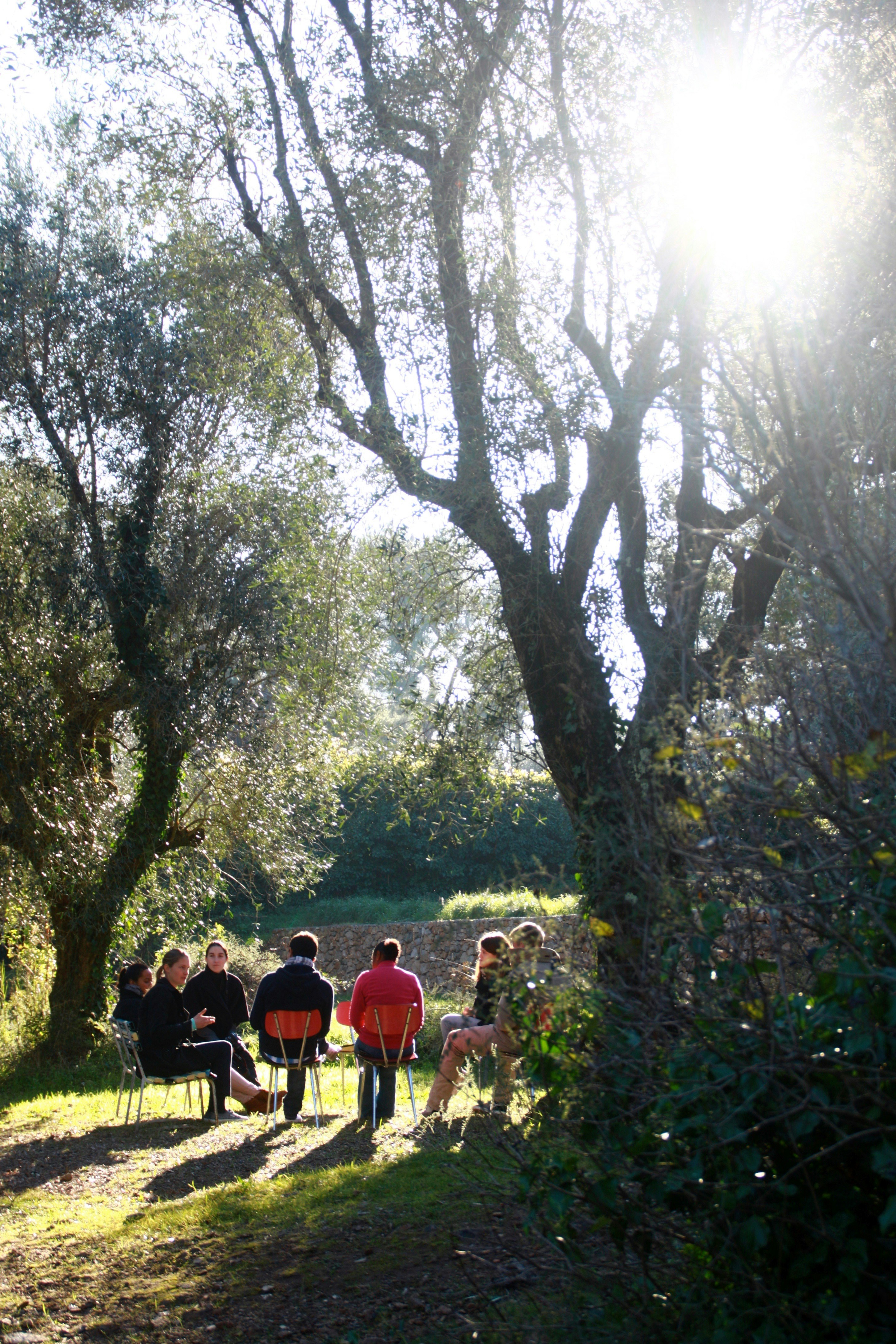Support group sitting in a serene wooded area near a river.